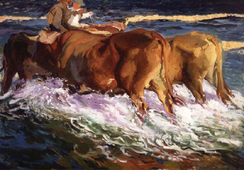 Joaquin Sorolla Y Bastida Oxen Study for the Afternoon Sun oil painting image